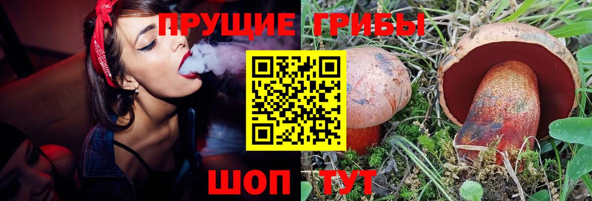 Псилоцибиновые грибы прущие грибы  Вход с VPN  Отрадное 